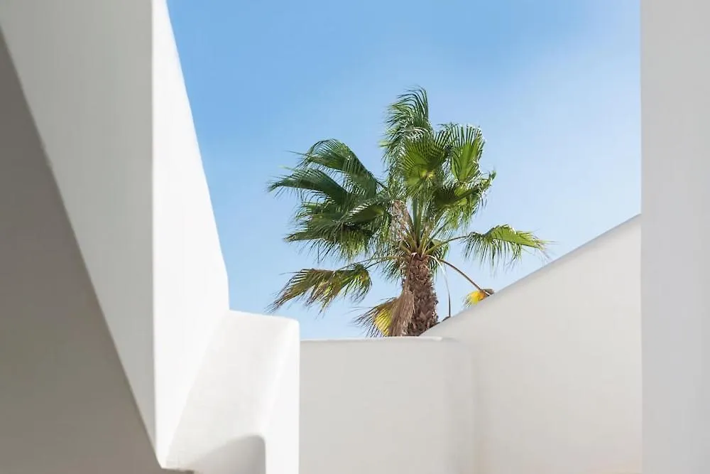 Bossa Bahamas Suites By Fergus Spain